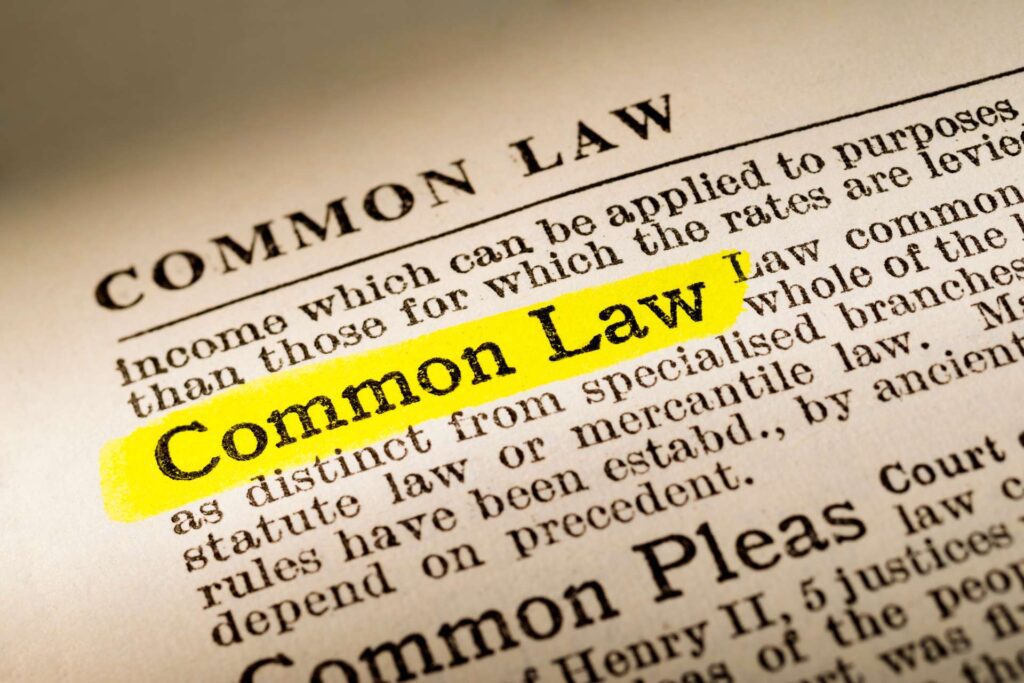 Common Law: Best Fields of Law for International Students